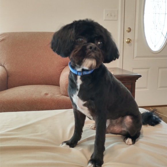 0ct 29 @ 7:30  Pm EST Vintage Home Decor - Picture 5 of 11